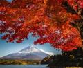 【JAF静岡】秋の富士山西麓エリアを満喫！「富士山西