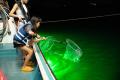 【静岡県】通常非公開の浜名湖うなぎ養鰻場見学・伝統