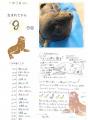 【京都水族館】ミナミアメリカオットセイの赤ちutf-8