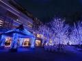 日本新三大夜景都市 初選出！冬の横浜を光で彩る「THE