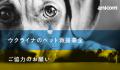 IFAW（国際動物福祉基金）の活動報告にてアニコムが紹