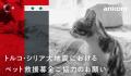 IFAW（国際動物福祉基金）の活動報告にてアニコムが紹