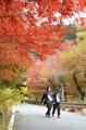 紅葉彩る”湯の山温泉”で地域の食と自然を体感「たべる