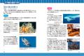 【シリーズ累計1500万部突破】最新刊『海底のサバイバ