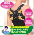 しまむら、PB「CLOSSHI」 「CLOSSHI PREMIUM」の活き