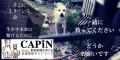 認定NPO法人CAPIN、寄付ページを刷新