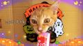 いなばペットフード　「ちゅ～る」ハロウィンTVCM動画