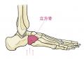 【新発売】姿勢悪化や関節の不調の原因にもなる“浮き