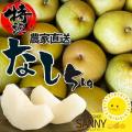 ＜Qoo10 「梨」販売数ランキング＞今が最盛期！甘さ上