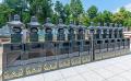 【埼玉県日高市】ペットと一緒に眠れる永代供養墓・樹