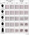【「抜け毛」の検索数が急上昇する秋到来】
髪utf-8