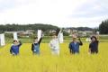 令和７年産「福、笑い」の収穫開始！内堀福島県知事も