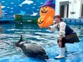 【仙台うみの杜水族館】生きものたちと一緒に楽しむハ