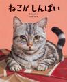 直木賞作家・角田光代さんが初めて書き下ろした猫のお