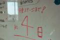 【企画連載 Vol.5】あわら色｜写真家 tomosaki が切り
