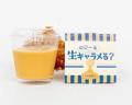 愛知大学の学生7名が「