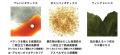 Lifestyle＆Beautyブランド「AHRES」。超浸透を叶える