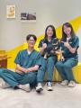 犬猫用首輪型ウェアラブルデバイス「PetVoice」、台湾