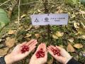 BIKAS COFFEE、東京・高田馬場の戸山公園にて10月13日