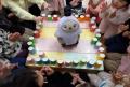 子どもと先生に愛されるロボット ー LOVOT［らぼっと