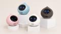【会話AIロボット「Romi」】新モデル「Romi（Lacatan