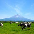 【秋限定】人気投票で選ばれた“食べたい味”がついに商