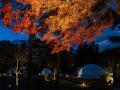 秋の日光を満喫！紅葉とハロウィン装飾を楽しむグラン
