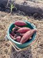 茨城県つくば市　お住まい・水まわりのプロ・昭和管工
