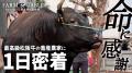 【日清丸紅飼料】公式YouTubeチャンネル「FARM to TAB
