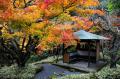 一条恵観山荘 入園券付き宿泊プラン販売
