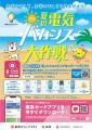 お出かけ誘導型節電プロジェクト『夏の電気バカンス大
