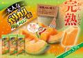 食欲の秋に、甘～い完熟メロンをガリガリ君がお届けし
