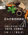 【宮城 石巻】創業100周年記念！グリーンサム「秋の園
