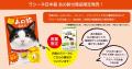 【日本猫オーナー必見！】金のあの鈴（素材：18K）が