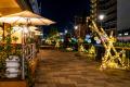 東京ミズマチ(R)とすみだリバーウォーク(R)周辺を竹あ