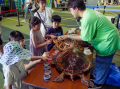 子どもから大人まで、東京の水辺で楽しむ週末イベント