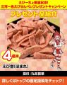 【愛知県西尾市ふるさと納税】第三のキャラ『えびーち
