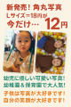 “やさしく、かわいく、安心”な角丸写真「Lサイズ」10