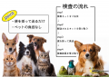 自宅で簡単にペットの健康チェック「ペット検便utf-8