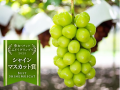 食べチョク主催品評会「りんごグランプリ2025」出品者