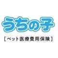 【ペット保険 人気ランキング】2025年10月TOP5を発表