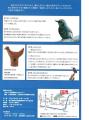 【千葉/袖ケ浦】企画展II「鳥をめぐる物語」を開催し