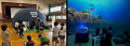 学校に巨大な海が出現！驚きと学びの新感覚海体験イベ