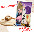 生産者と“旬”を味わう「大収穫祭！お芋と新米のutf-8