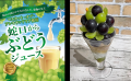 ＼岡山県のアンテナショップ開館11周年／　県産マスカ