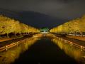 黄葉・紅葉まつり＆秋の夜散歩2025開催(国営昭和記念