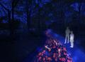 黄葉・紅葉まつり＆秋の夜散歩2025開催(国営昭和記念