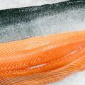 【10月限定】秋の味覚を贅沢に--サーモンといくらを使