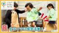 「とうきょう すくわくプログラム」実施園同士の学び