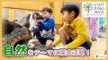 「とうきょう すくわくプログラム」実施園同士の学び